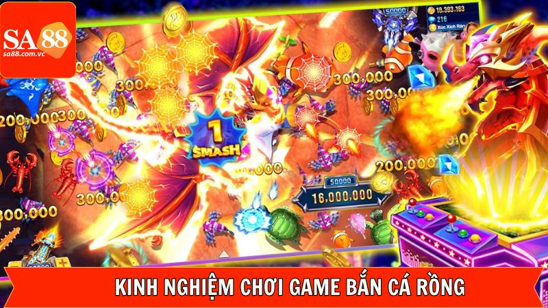 Bí kíp săn cá hiệu quả được cao thủ chia sẻ