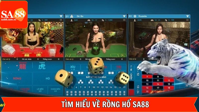 Rồng Hổ SA88 - Chiến Lược Đặt Cược Mang Lại Tỷ Lệ Thắng Cao 2 Các thông tin tổng quan cần nắm về game rồng hổ