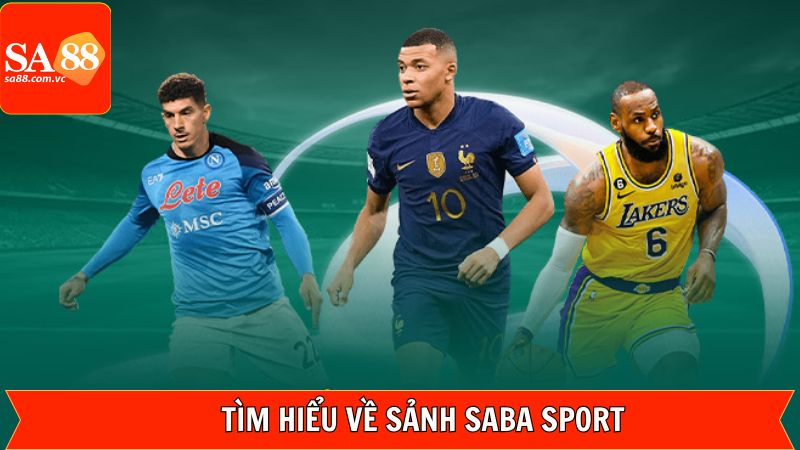 Saba Sport – Trải Nghiệm Không Gian Đỉnh Cao Tại SA88 2 Tổng quan về sức hút của Saba Sport