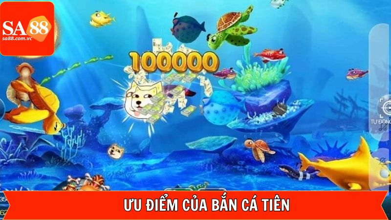 Yếu tố giúp săn cá tiên thu hút khách hàng